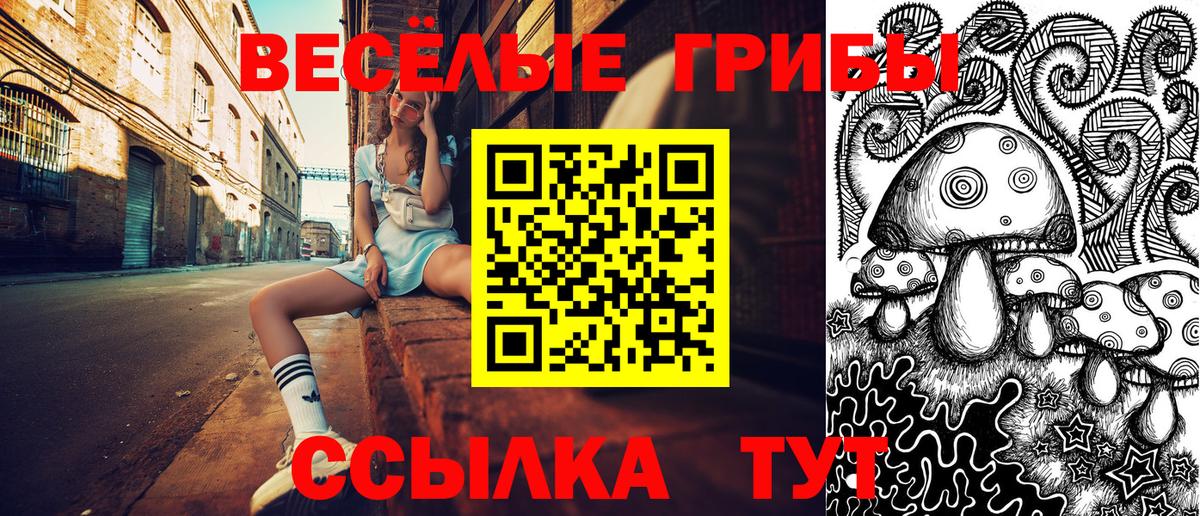 Галлюциногенные грибы Cubensis  Вход с VPN  Псилоцибиновые грибы Cubensis  Чита 