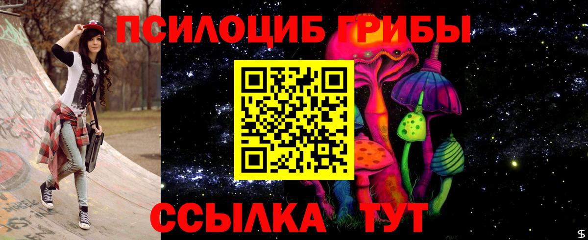 Псилоцибиновые грибы GOLDEN TEACHER Чита